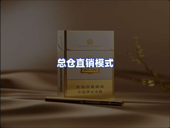 专业团队